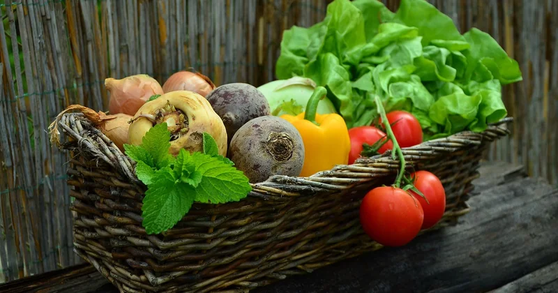 Végétarien, vegan, sans gluten : comment gérer sans stresser