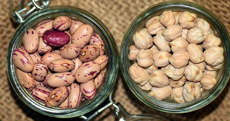 Pois chiches en boîte ou secs : lequel choisir ?